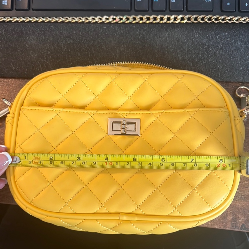 Yellow gold chain small crossbody. Brand New no tags.